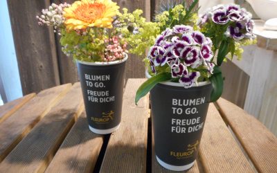 Es ist wieder soweit …..