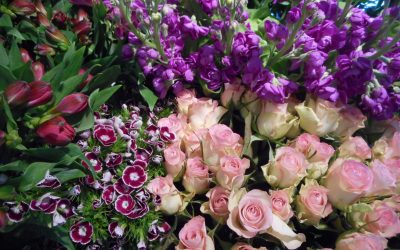 Lonely Bouquet Day …